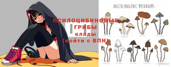 бошки Дмитриев