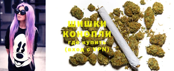 бошки Дмитриев