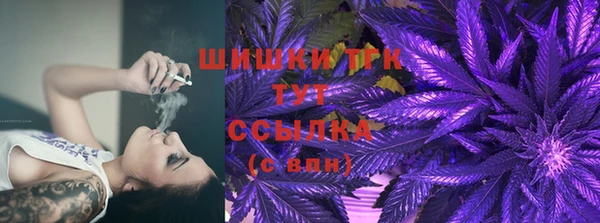 бошки Дмитриев