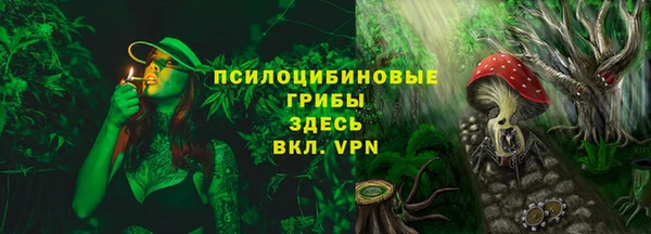бошки Дмитриев