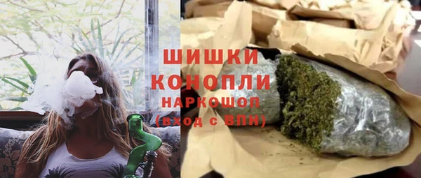 стаф Щигры
